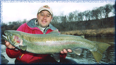 http://www.chitown-angler.com/1art/mar04/ericsteel2.gif