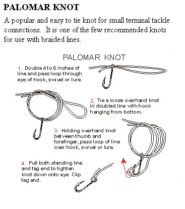 fishing knots for swivels - Google Search