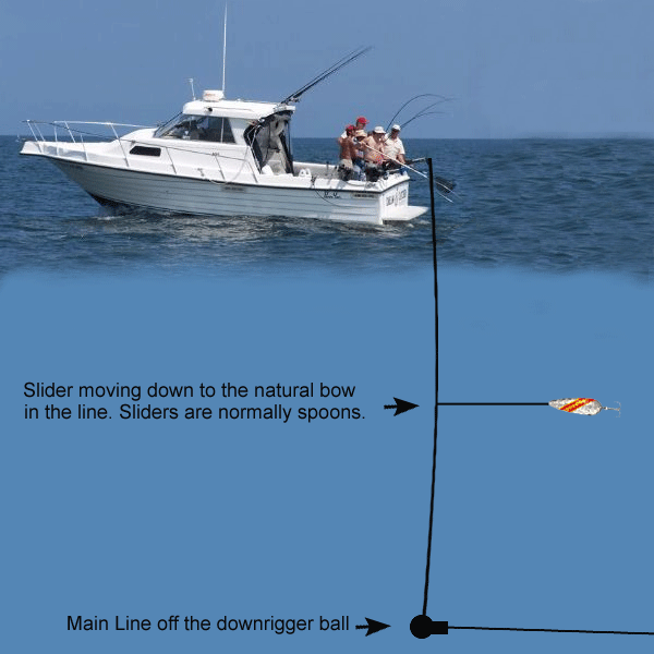 Downrigger slider rig Clearance