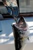 Filename=IMG_0579.jpg
Filesize=31KB
Dimensions=400x600
Date added=Aug 17, 2019 IMG_0579.jpg