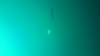 Filename=Snapshot_8.png
Filesize=218KB
Dimensions=599x337
Date added=Aug 18, 2019 Snapshot_8.png
