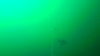 Filename=Snapshot_9.png
Filesize=172KB
Dimensions=599x337
Date added=Aug 18, 2019 Snapshot_9.png