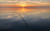 Filename=711B1412-A334-4845-9041-AFA613385A93.jpeg
Filesize=26KB
Dimensions=599x369
Date added=May 23, 2018 711B1412-A334-4845-9041-AFA613385A93.jpeg