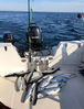 Filename=E09147BE-DBE6-43BD-8416-6DEDCDFB7E66.jpeg
Filesize=62KB
Dimensions=459x600
Date added=May 25, 2018 E09147BE-DBE6-43BD-8416-6DEDCDFB7E66.jpeg